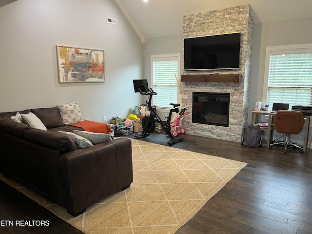 living room featuring wood-type flooring, vaulted ceiling, a wealth of natural light, and a fireplace