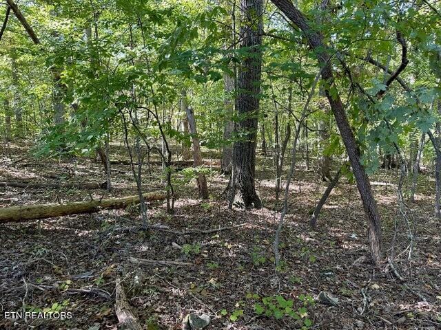 Listing photo 2 for LOT351-354 Diana Dr, Spring City TN 37381