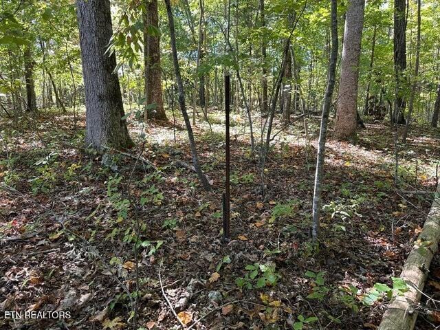 Listing photo 2 for LOT411 Smith Rd, Spring City TN 37381