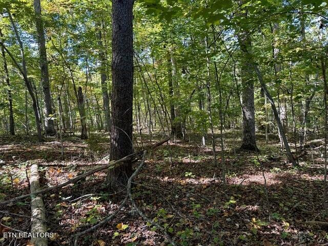 Listing photo 3 for LOT411 Smith Rd, Spring City TN 37381