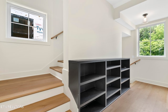 stairway featuring wood-type flooring