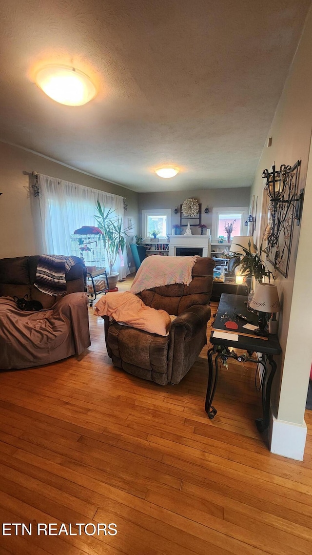 living room featuring wood-type flooring and a textured ceiling