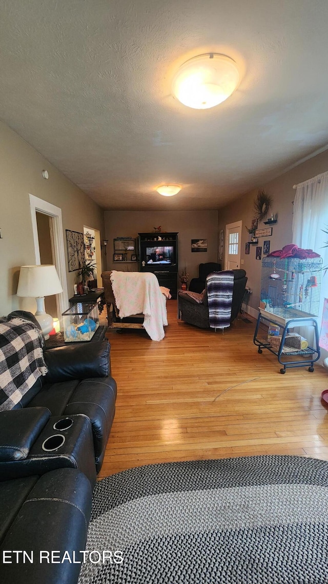 living room featuring a textured ceiling and wood-type flooring