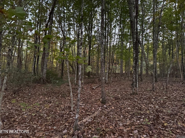 Listing photo 2 for 0 Panther Falls Rd, Wilder TN 38589