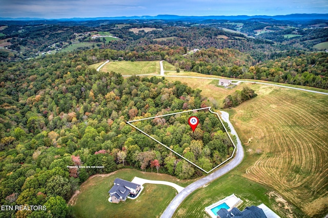 Cinnabar Dr, New Tazewell TN, 37825 land for sale