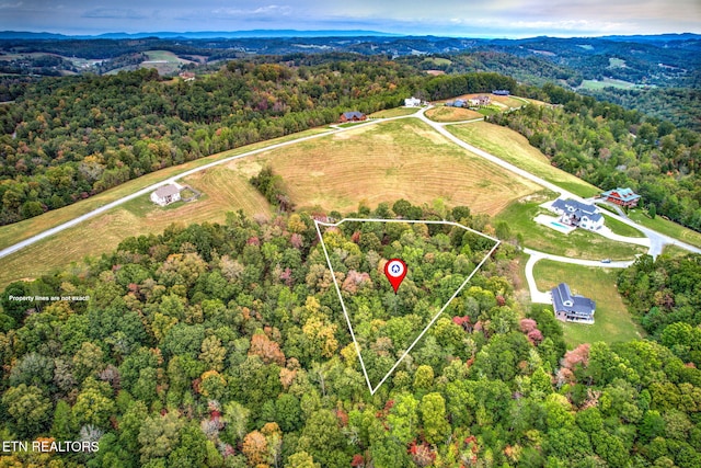 Listing photo 2 for Cinnabar Dr, New Tazewell TN 37825