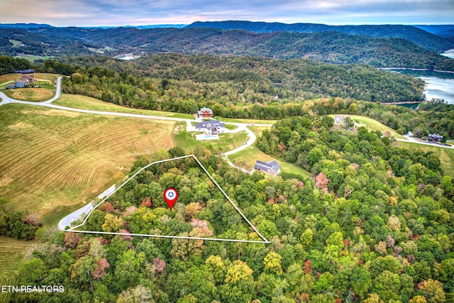 Listing photo 3 for Cinnabar Dr, New Tazewell TN 37825