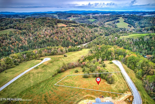 Listing photo 3 for Cinnabar Dr, New Tazewell TN 37825