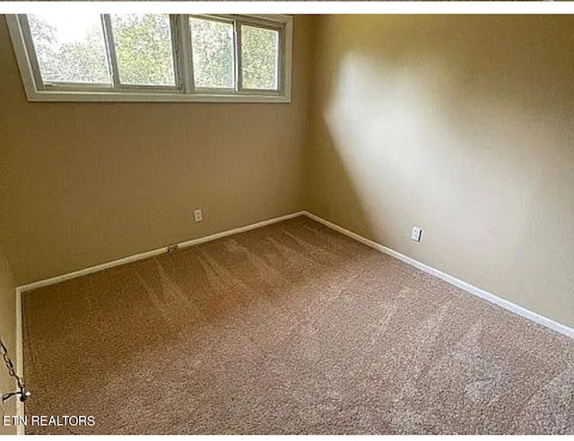 spare room with carpet