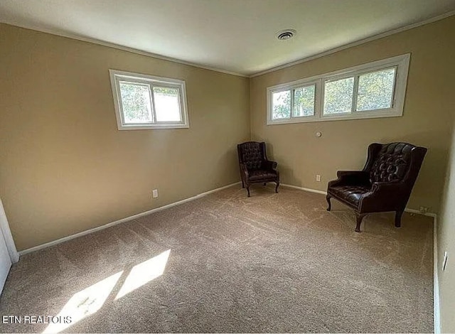 unfurnished room with a healthy amount of sunlight and carpet flooring