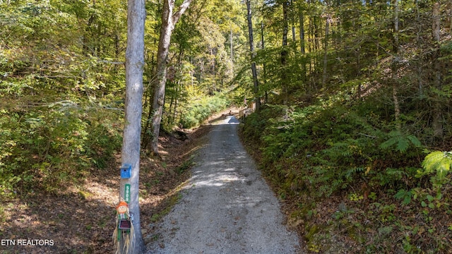 view of road