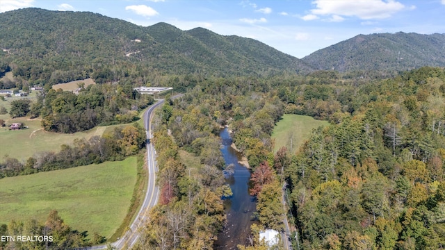 view of mountain feature