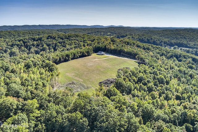 aerial view with a mountain view