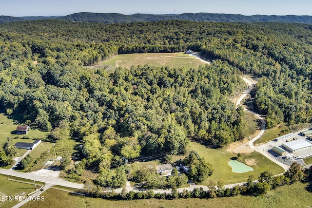 aerial view with a mountain view