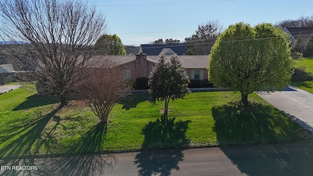 obstructed view of property with a front lawn