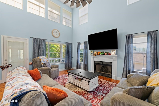 living room featuring ceiling fan, a towering ceiling, and wood-type flooring