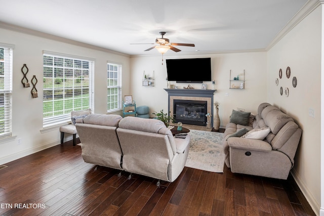 living room featuring crown molding, ceiling fan, a tiled fireplace, and dark hardwood / wood-style flooring