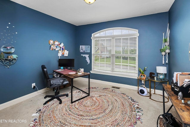 office featuring carpet flooring