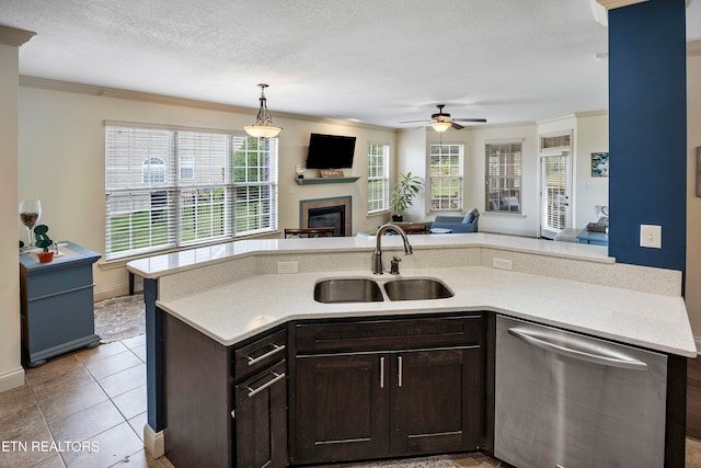 kitchen featuring stainless steel dishwasher, sink, dark brown cabinetry, and a healthy amount of sunlight