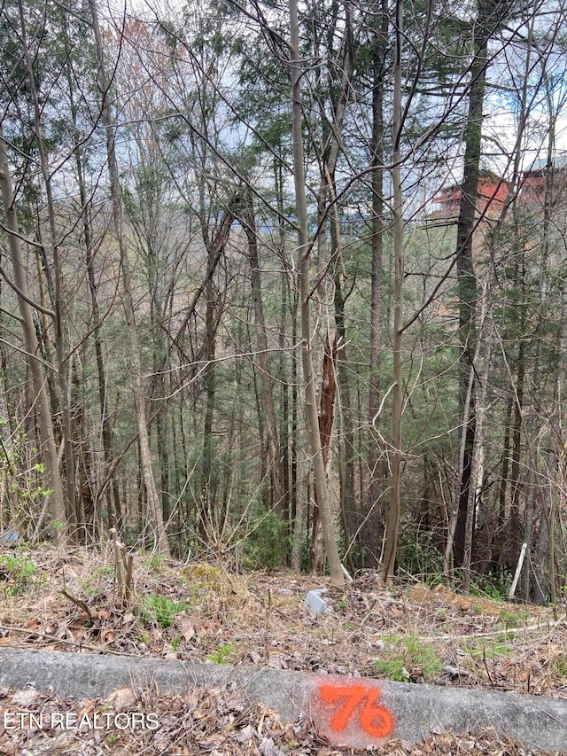 Smoky Ridge Way, Sevierville TN, 37862 land for sale