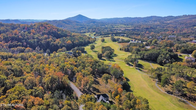 bird's eye view with a mountain view