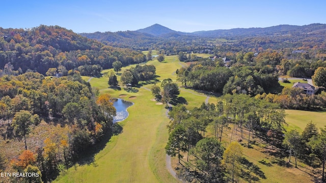 339 Eagles Rdg, Tazewell, TN 37879 - bird's eye view of a water and mountain view