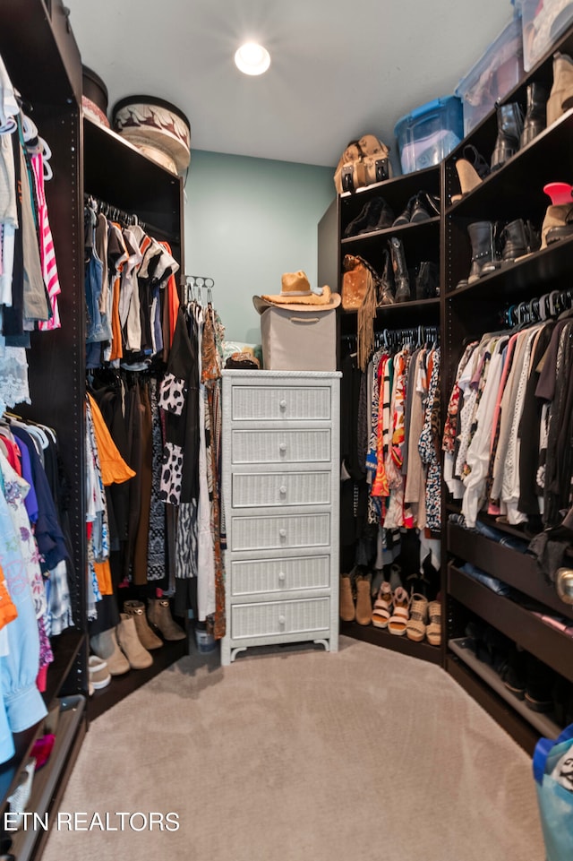 spacious closet featuring carpet flooring