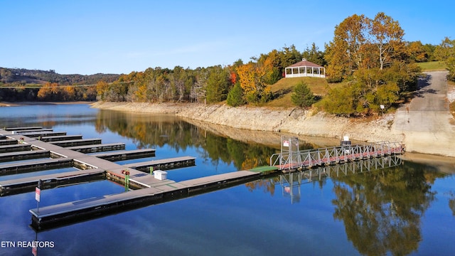 dock area featuring a water view