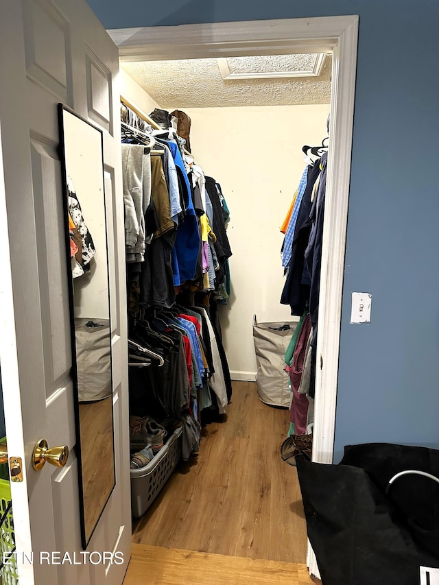 walk in closet featuring light hardwood / wood-style floors