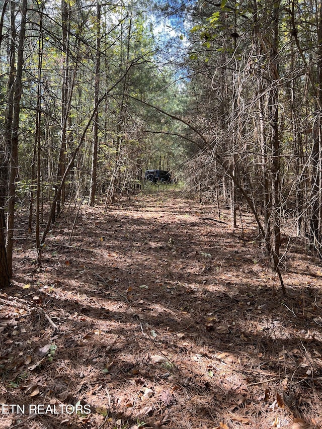 Blue Sewannee, Pikeville TN, 37367 land for sale