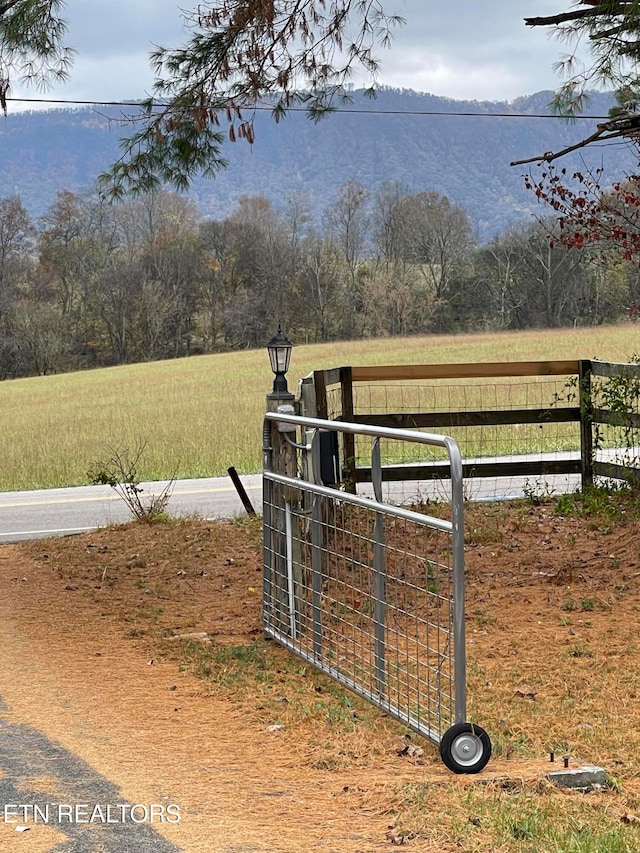 exterior space featuring a mountain view and a rural view