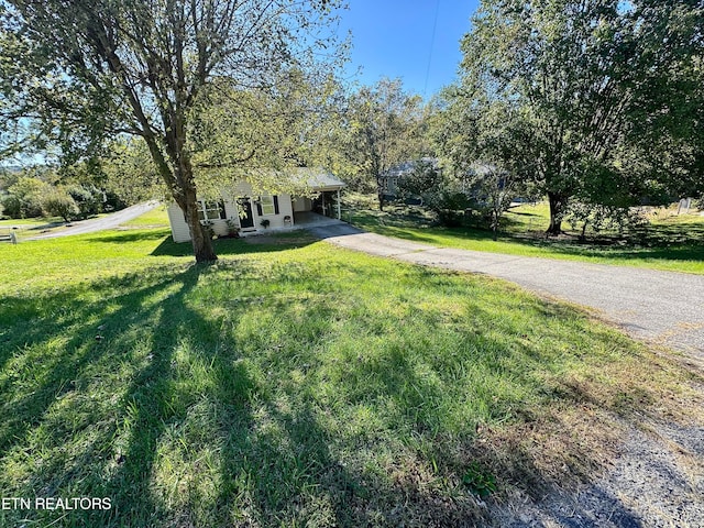 view of front of home featuring a front lawn and a carport