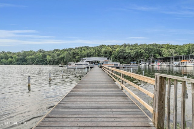 dock area with a water view