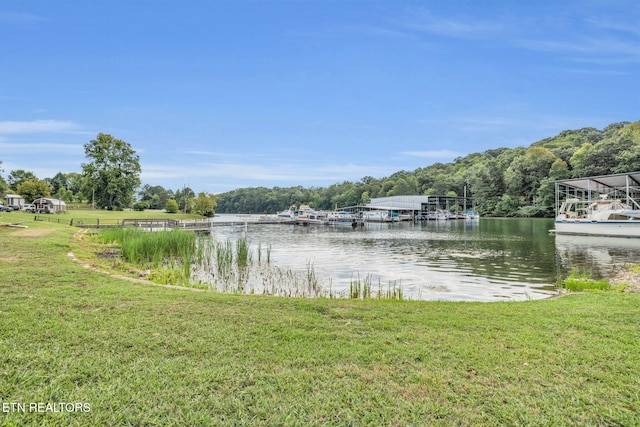 property view of water