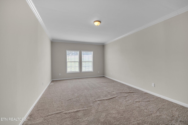 empty room featuring light carpet and ornamental molding