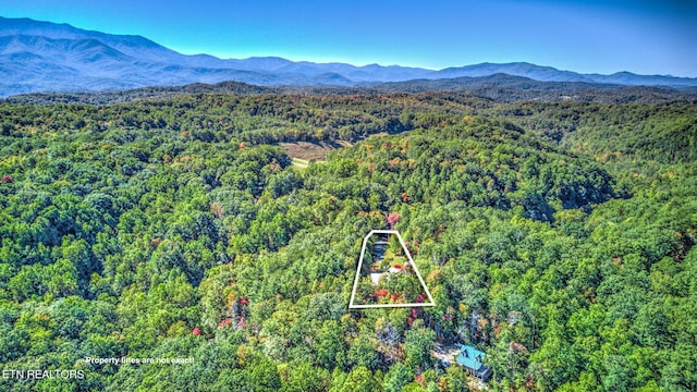 bird's eye view featuring a mountain view