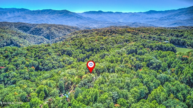 birds eye view of property featuring a mountain view