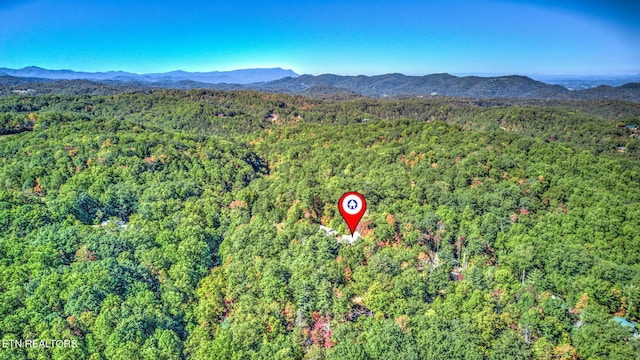 bird's eye view with a mountain view