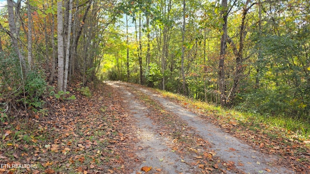 view of road featuring a view of trees