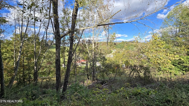 view of local wilderness featuring a wooded view