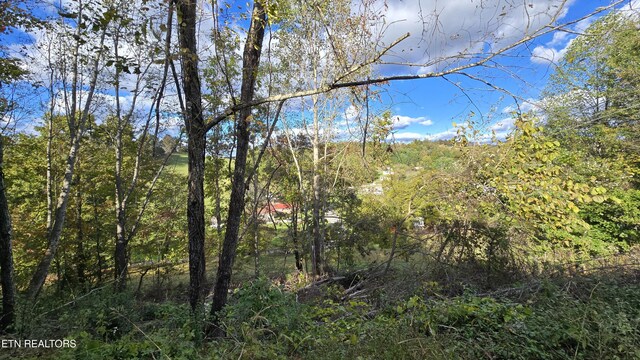 view of local wilderness featuring a forest view