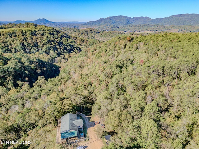 birds eye view of property featuring a mountain view