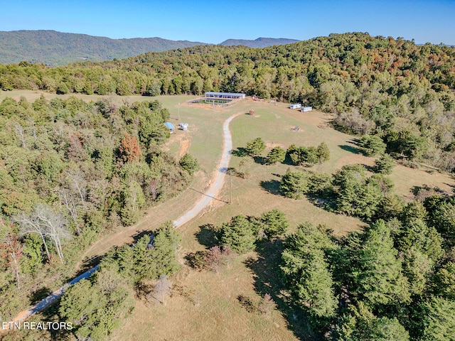 birds eye view of property with a mountain view