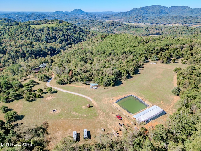 drone / aerial view with a mountain view