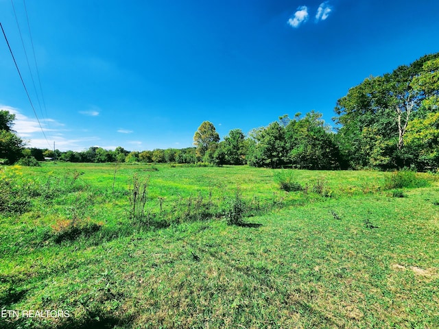 view of yard with a rural view