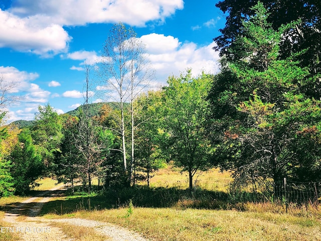 view of landscape