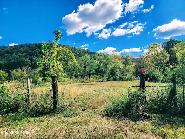 property view of mountains with a rural view