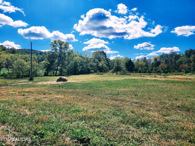 view of local wilderness with a rural view