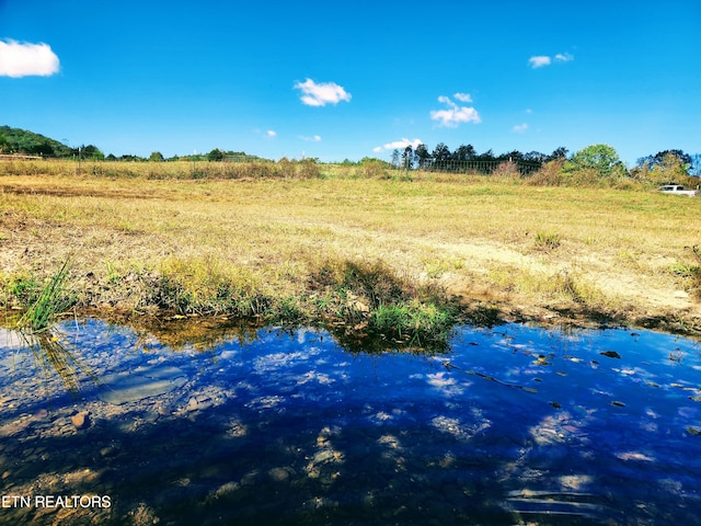 view of local wilderness with a rural view