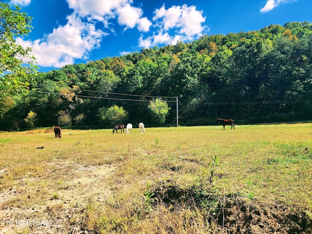 view of yard with a rural view